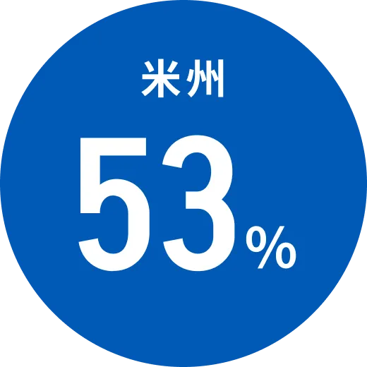 米州24%